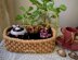 Zpaghetti (t-shirt) yarn Basket- N82