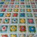 Granny Two-Color Rose Afghan