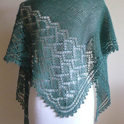 Public Garden Lace Shawl