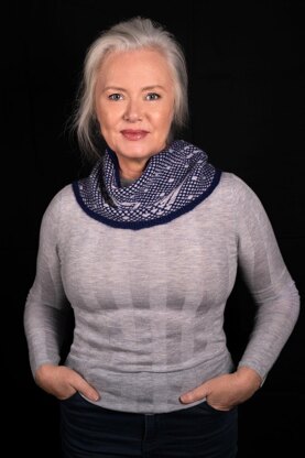 UFO Sky Cowl version one