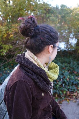 Transitions Infinity Scarf