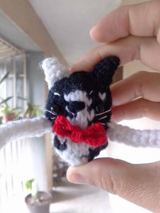 Postcards for the heart “TUXEDO CAT”