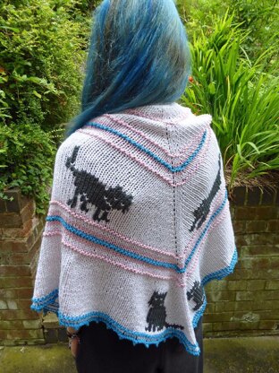 Cat Shawl