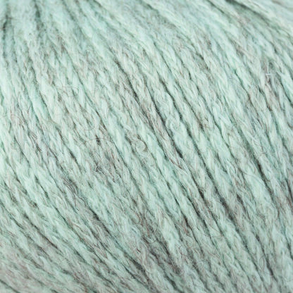 Coast (248)