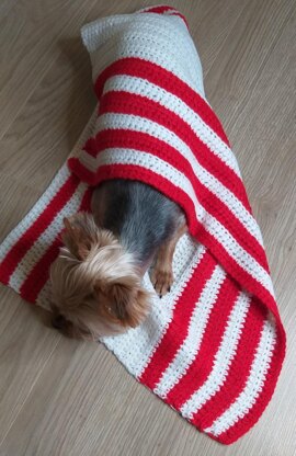 Blanket for a dog