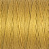 Golden Yellow (968)