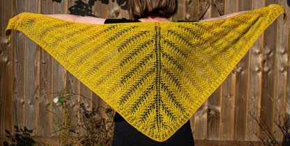 Wheat Field Lace Shawl