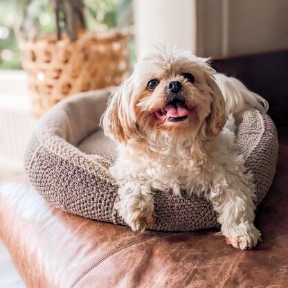 Modern Dog Bed