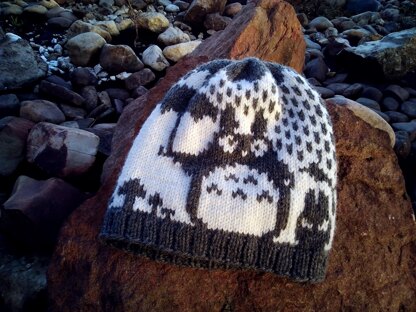 Totoro hat