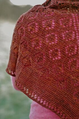 Hamamelis Shawl