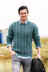 Mens Sweaters in Stylecraft Highland Heathers Aran - 9875 - Downloadable PDF