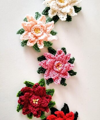 Poinsettia (in the round)