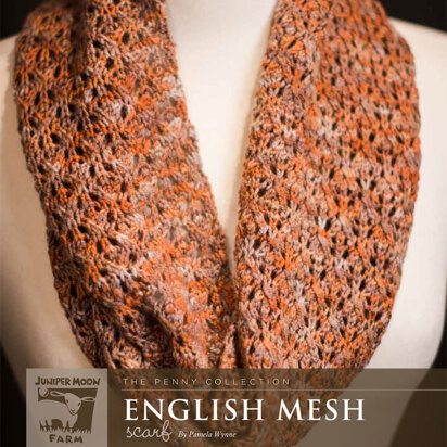 English Mesh Scarf in Juniper Moon Farm Findley DK Dappled - Downloadable PDF