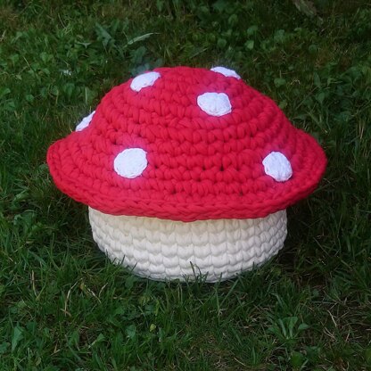 Toadstool Basket Fairy House