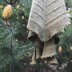 Fallen Leaf Shawl