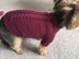 Plum Dog Sweater