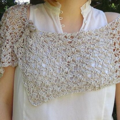 Elegant Lacy Wrap