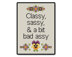 Classy, Sassy, Bad Assy - PDF Cross Stitch Pattern