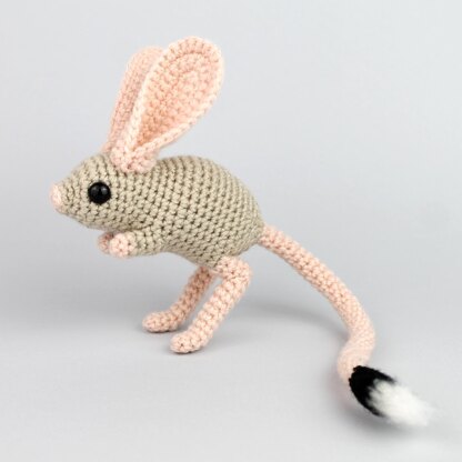 Jerboa