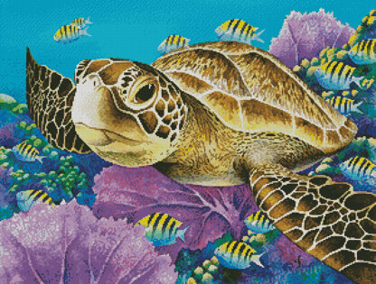 Young Green Sea Turtle - #11388-MGL