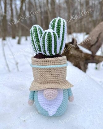 Gnome-cactus in a pot 3