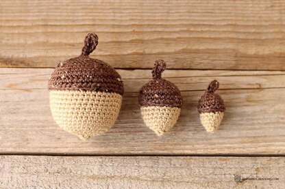 Acorns in Three Sizes