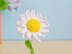 Daisy Flower