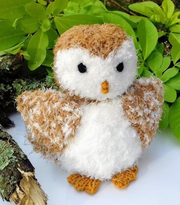 Barn Owl Needle Felting Kit