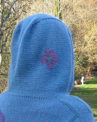 Alston Flower Show hoodie