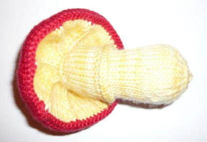 Knitted Mushroom