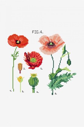 DMC Botanical Poppies - PAT1381 - Downloadable PDF