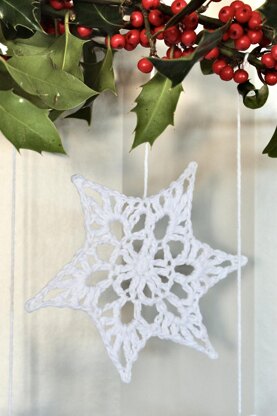 Winter Star Wall Hanging