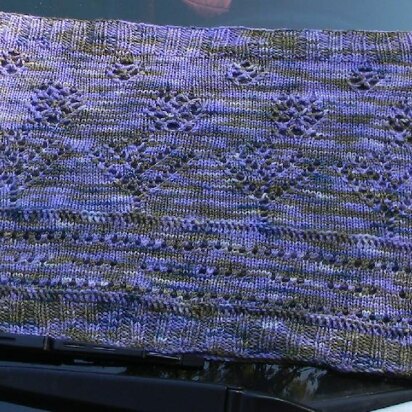 Mystery Road Trip Cowl