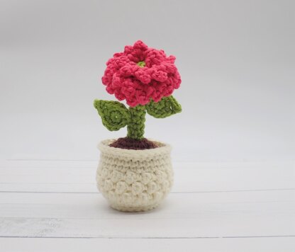 Dahlia in a Flower Pot