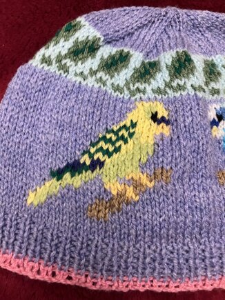 Budgie Bird Hat #2