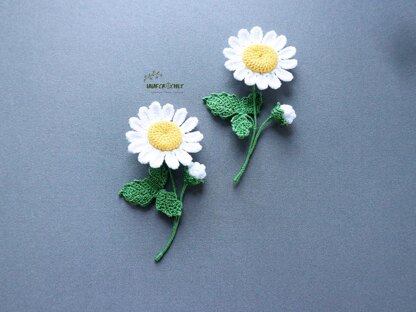 Daisy branch