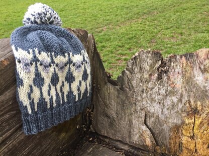 Alpacas on a Hat