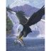 Royal Brush Junior Small Paint By Number Kit 8.75"X11.75" - Sanctuary