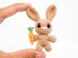 Mini Noso Bunny Crochet Pattern