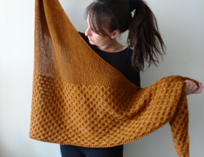 Colmena Shawl