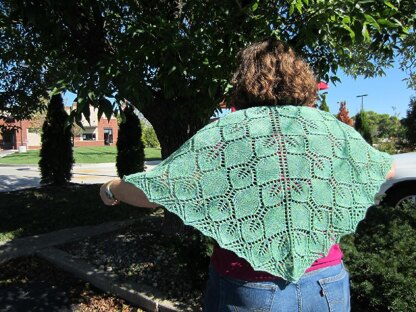 Silvertree Shawl