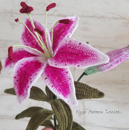 Brazilian Embroidery Design Stargazer Lily