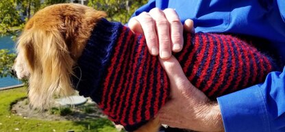 Slippy Stripey Mini-Doxie Sweater