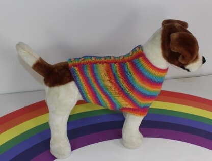 Small Dog Rainbow 4ply Back Button Up Coat