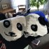 Panda Love