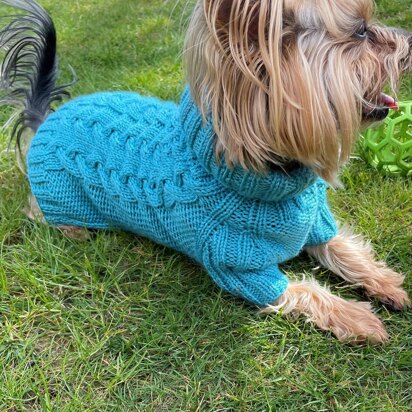 Aqua Dog or Cat Sweater