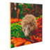Crystal Art Hedgehog, 40x50cm Diamond Painting Kit