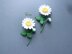 Daisy branch