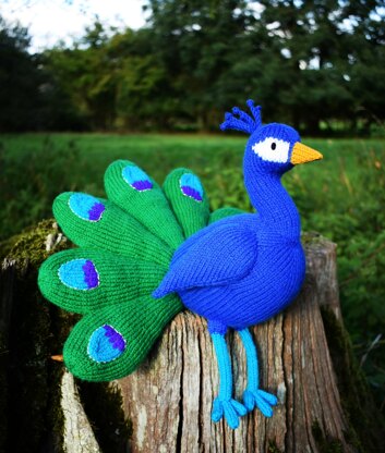 Norman the peacock