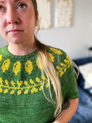 Lemonjelly Sweater